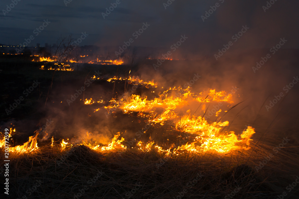 A spring fire. Burning grass. Field Smoke Background A spring fire. Burning grass. Field Smoke Background