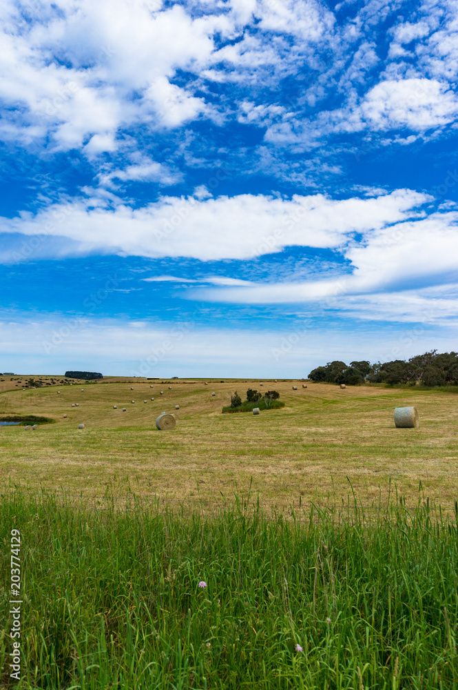 Spectacular panorama of countryside field Spectacular panorama of countryside field