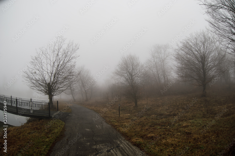 Amazing landscape of bridge reflect on surface water of lake, fog evaporate from pond make romantic scene or Beautiful bridge on lake with trees at fog. Amazing landscape of bridge reflect on surface water of lake, fog evaporate from pond make romantic scene or Beautiful bridge on lake with trees at fog.
