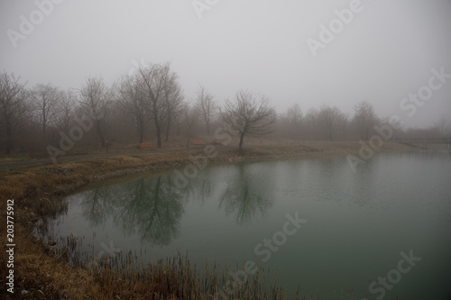 Landscape with misty morning fog in the Forest Lake or Beautiful forest lake in the morning at winter time. Azerbaijan nature.