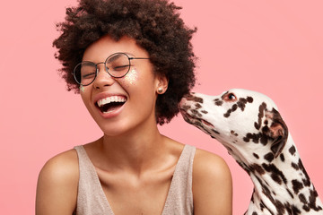 Happy overjoyed African American female feels glad as dalmatian dog smells her and shows devotion, isolated on pink background. Cheerful dark skinned woman with favourite pet. People and animals