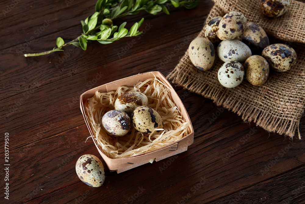 Composition of eggs quail box, eggs on a homespun napkin, boxwood on wooden background, top view Composition of eggs quail box, eggs on a homespun napkin, boxwood on wooden background, top view
