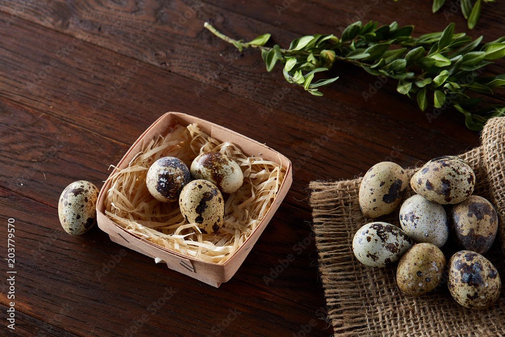 Composition of eggs quail box, eggs on a homespun napkin, boxwood on wooden background, top view