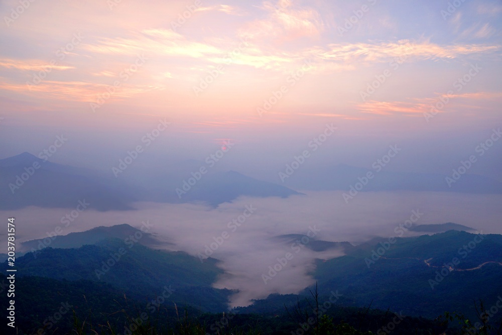 Morning mountain landscape with wave of fog on the top of mountain with the view into misty valley at Doi Pha Tang, Chiangrai, Thailand