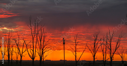 Paisaje real