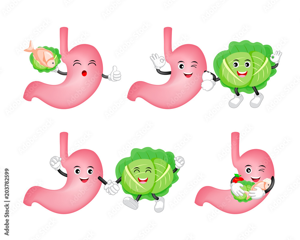 Cute cartoon stomach character with cabbage. Healthy food eating concept. Illustration of fruit, fish, rice and vegetable, good for human stomach. Stock Vector | Adobe Stock Cute cartoon stomach character with cabbage. Healthy food eating concept. Illustration of fruit, fish, rice and vegetable, good for human stomach. Stock Vector | Adobe Stock