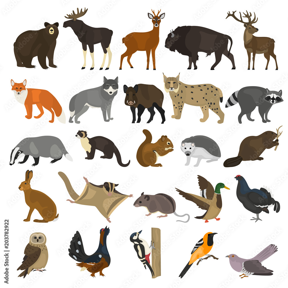 Forest animals color flat icons set