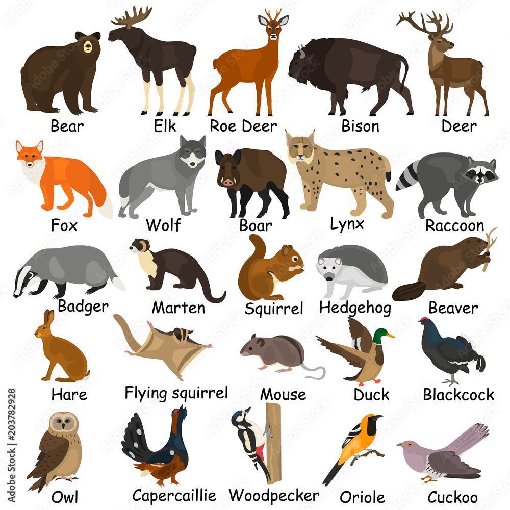 Forest animals color flat icons set Stock Vector | Adobe Stock