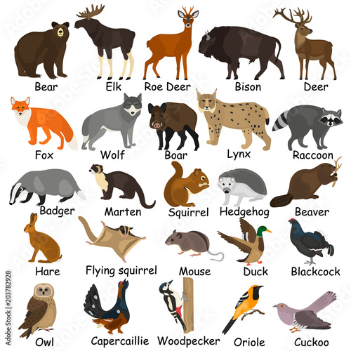Forest animals color flat icons set