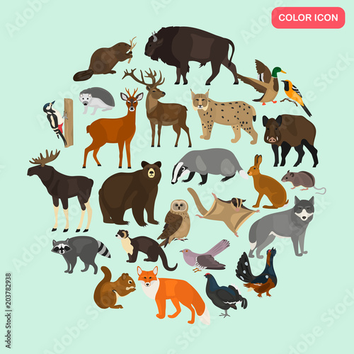 Forest animals color flat icons set