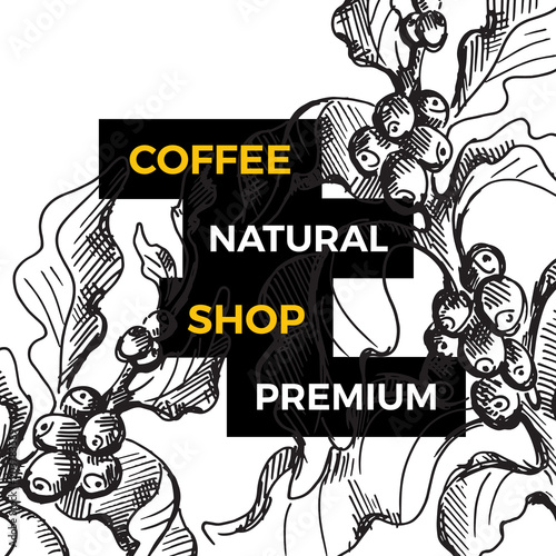 Vector coffee tree branch. Botanical hand drawn
