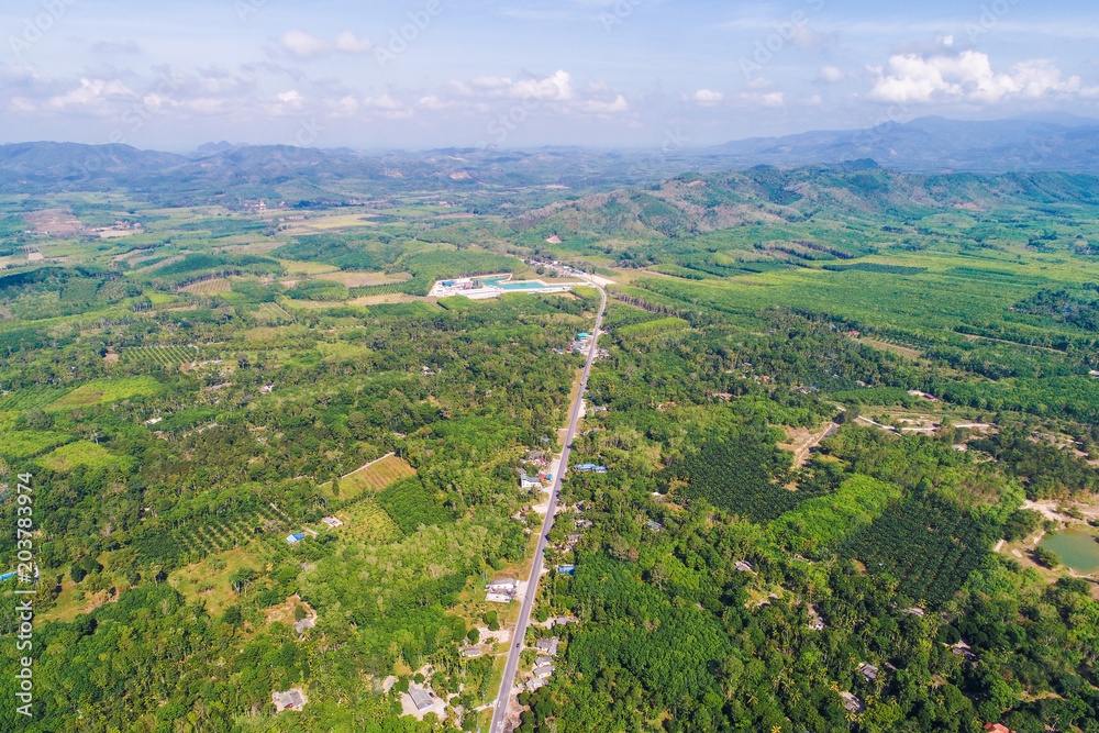 Green forest agricultural plantation with rural road aerial view
