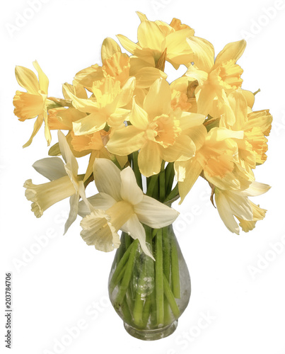 Fototapeta Naklejka Na Ścianę i Meble -  White and yellow narcissus in glass vase isolated on a white background 
