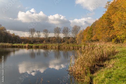 Im Naturschutzgebiet Gagelbestand bei Lohmar, NRW