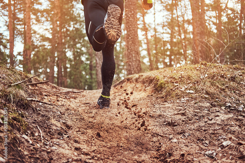 Bild auf Leinwand Athlete running along the forest trail