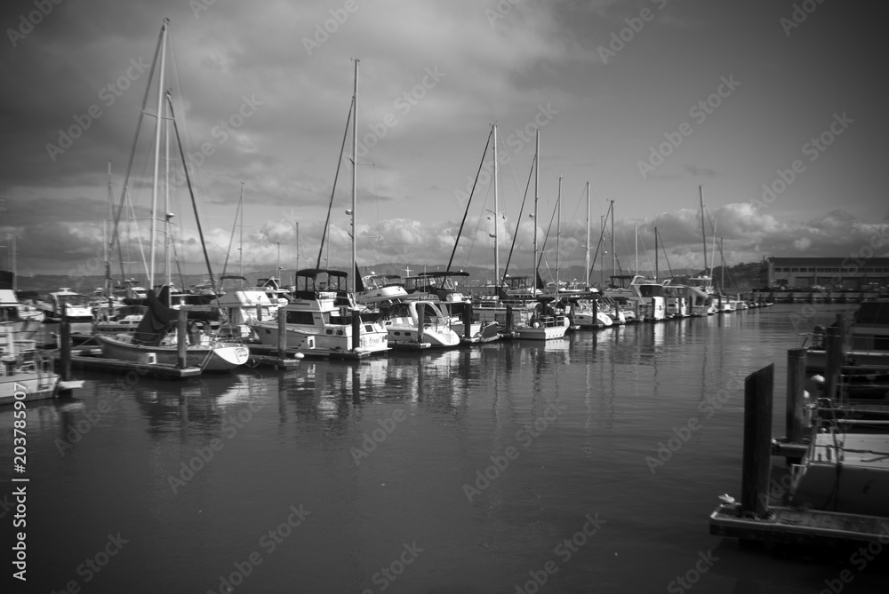 Black and white image of boats and yachts moored at a marina in San Francisco