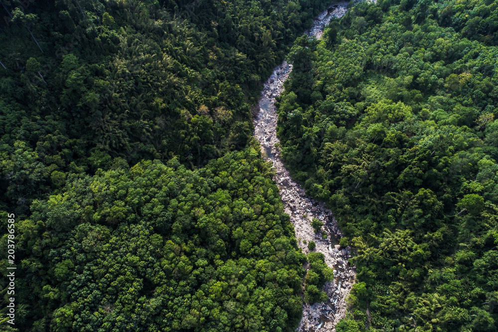 Summer deep rainforest waterfall in green mountain aerial view