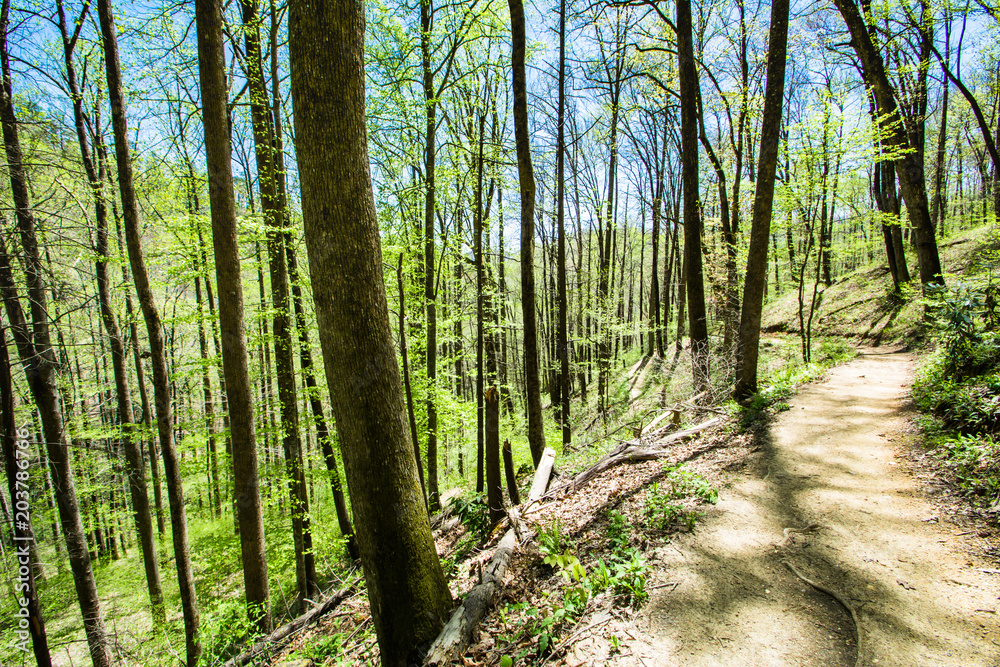 Looking Glass Rock, North Carolina Looking Glass Rock, North Carolina