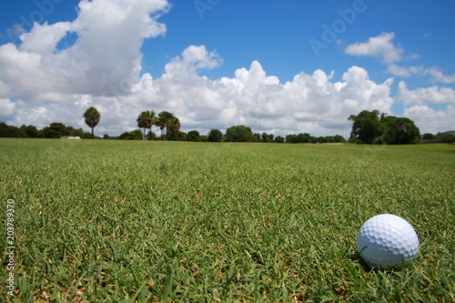 Golf Ball Frame Right on Course Fairway Grass in a Bright Sunny Afternoon in Florida with Blue Sky and Scattered Clouds Above