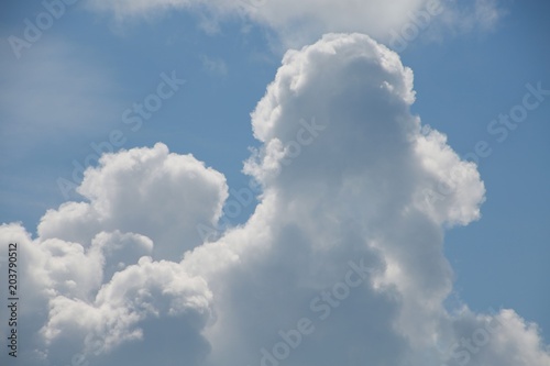 Fluffy Billowy Cumulus Clouds in the Blue Summer Sky Backlit by the Sun in Florida