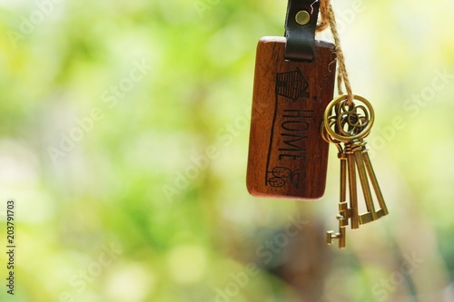 House key with home keyring in keyhole with smooth blur green garden background, property concept