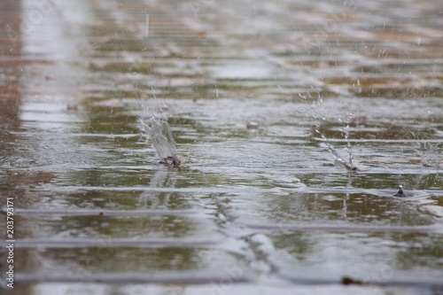 Raindrops Splattering on Cement Tiles of Pool Deck