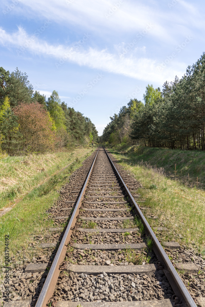 Almost endless straight rail track through the forest Almost endless straight rail track through the forest