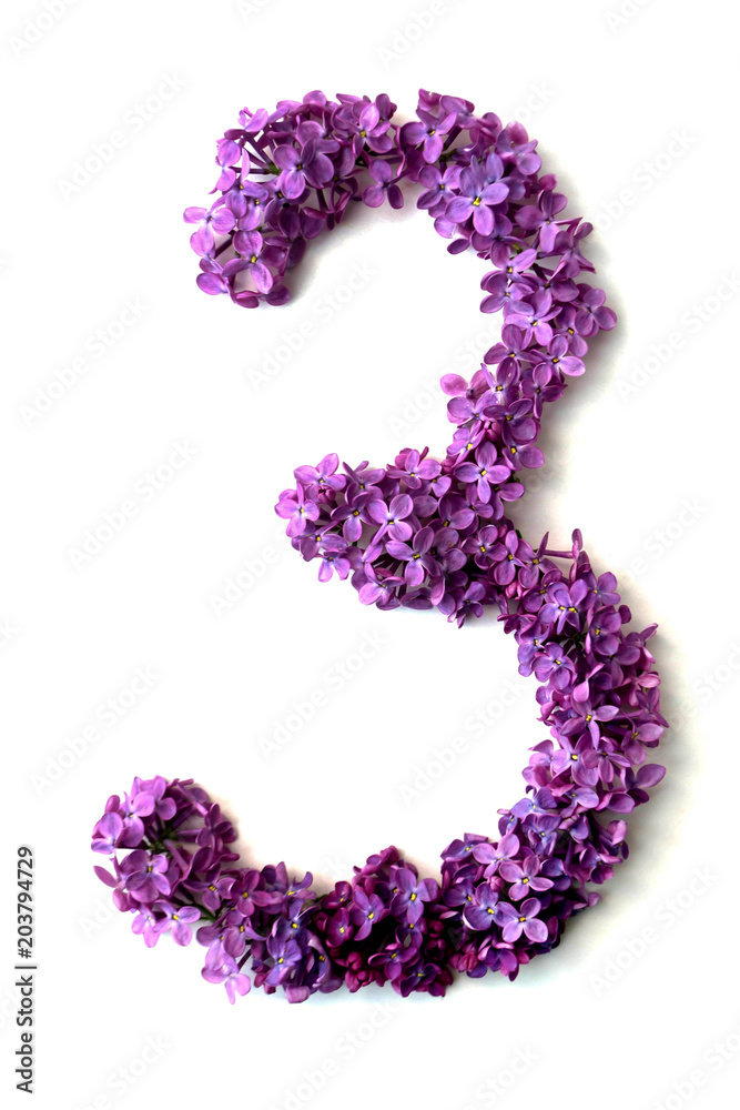 Lilac alphabet