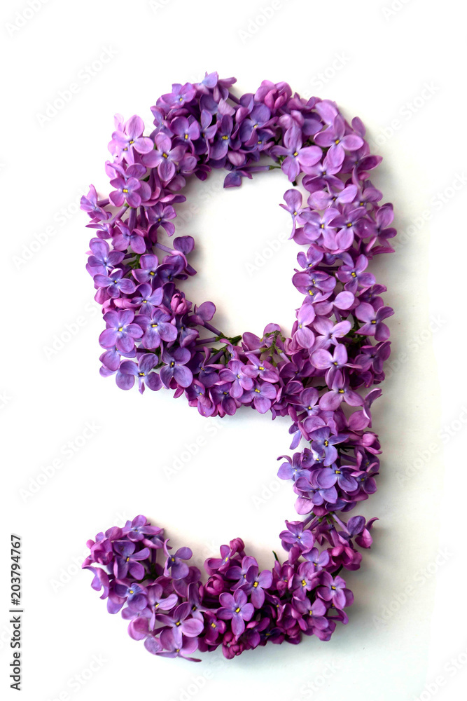 Lilac alphabet Lilac alphabet