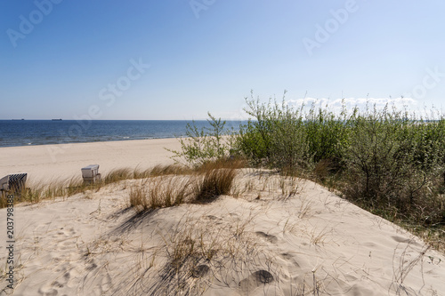 Grassy sand dunes on the Baltic Sea