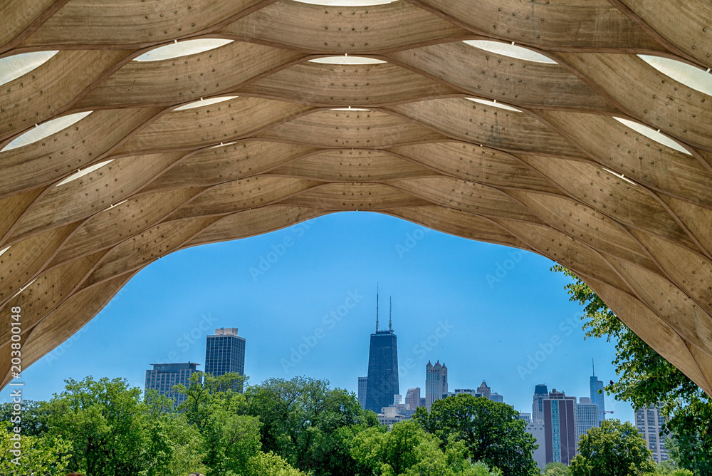 Obraz premium Widok na Chicago, USA