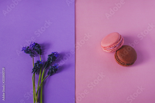 French pink and brown Colorful Macarons Colorful Pastel Macarons on a purple and pink background with purple flowers