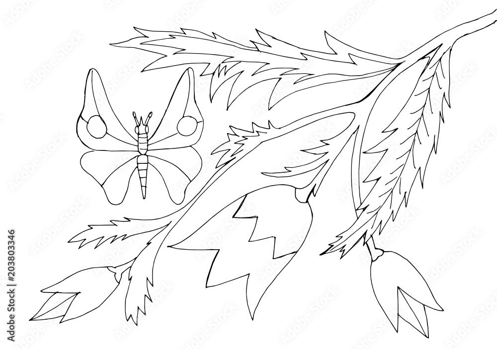 Fototapeta premium Outline drawing of a flowers and butterflies for coloring
