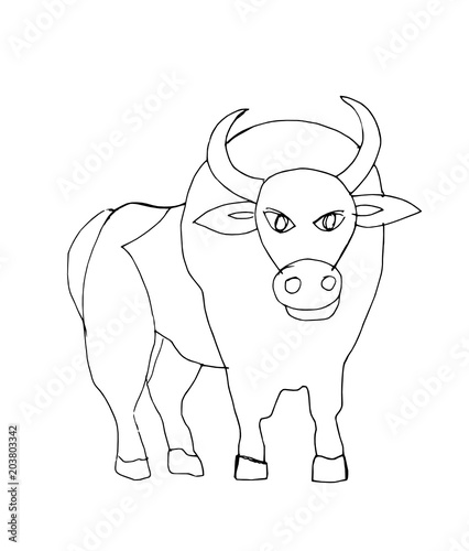 Bull outline drawing