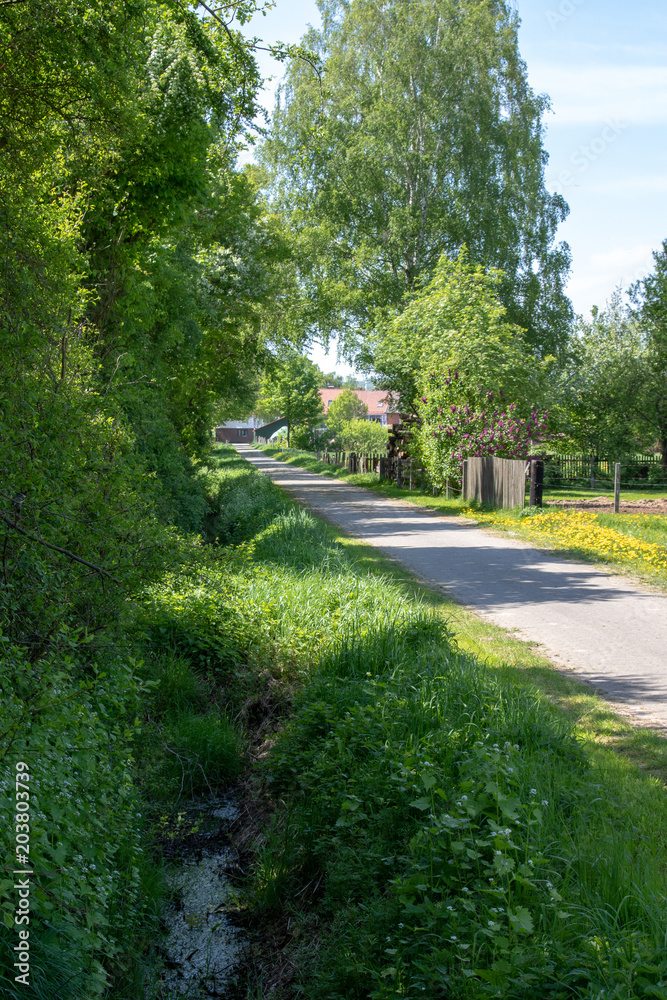 Asphaltierter Wanderweg in einer grünen Landschaft an einem sonnigen Frühlingstag in Deutschland