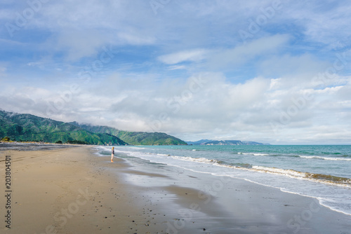 Obraz na płótnie Rarangi Beach, Blenheim, Marlborough, New Zealand: lovely little dog playing at sandy beach running towards dogs owner best friend at cloudy sky day with the mountain range of world famous wine region w salonie