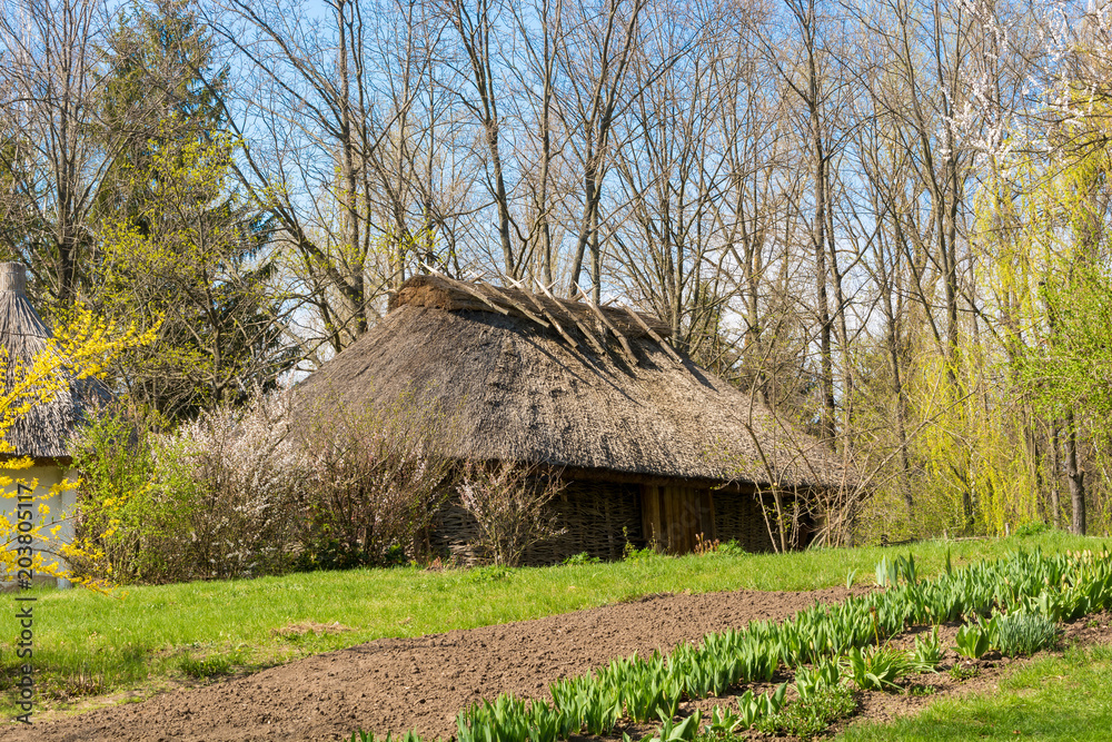 An ancient historical house in the Ukrainian village. A wooden building with roof made of straw. An ancient historical house in the Ukrainian village. A wooden building with roof made of straw.
