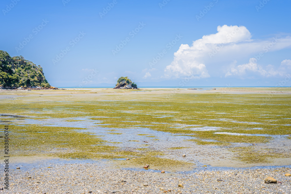 Farewell Spit, Golden Bay, New Zealand Low Tide coastal bay landscape