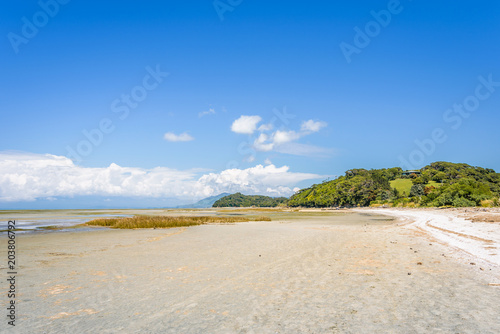 Farewell Spit  Golden Bay  New Zealand  Low Tide coastal bay landscape at the north west cape of south island with a small cliff rock and green grass and blue ocean sea near Abel Tasman National Park