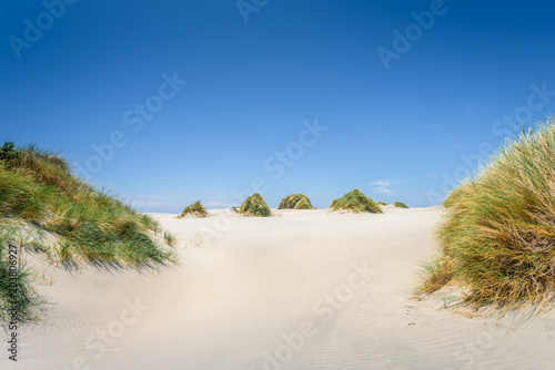 Fototapeta Naklejka Na Ścianę i Meble -  Farewell Spit, Golden Bay, New Zealand: Impressive sand dune landscape at the north west cape of south island with white sandy beaches and green grass and blue ocean sea near Abel Tasman National Park