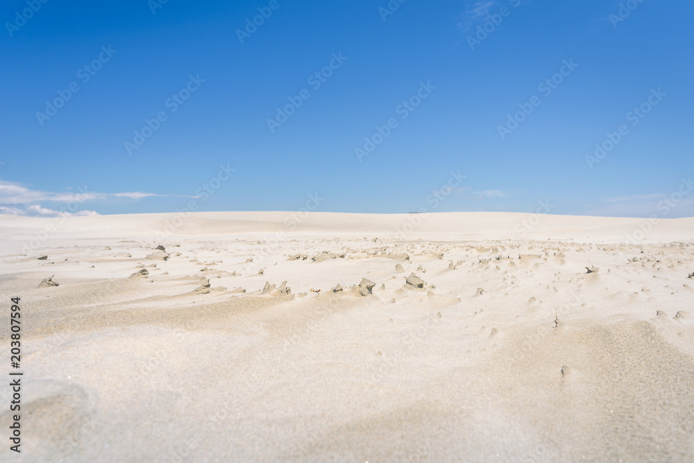 Farewell Spit, Golden Bay, New Zealand: Impressive sand dune landscape at the north west cape of south island with white sandy beaches and green grass and blue ocean sea near Abel Tasman National Park