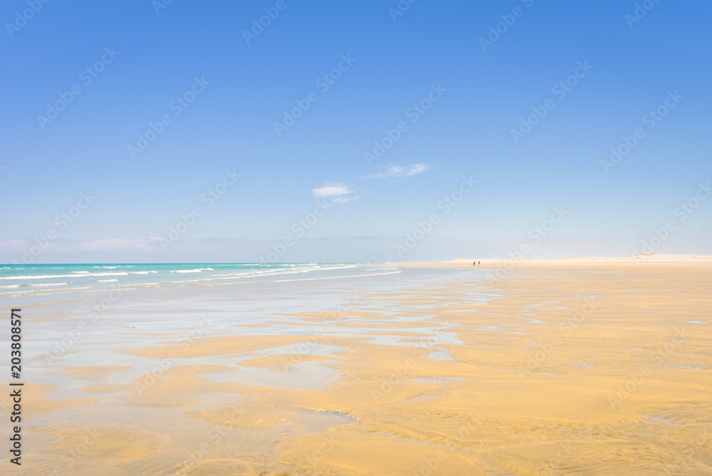 Farewell Spit, Golden Bay, New Zealand: Impressive sand dune landscape at the north west cape of south island with white sandy beaches and green grass and blue ocean sea near Abel Tasman National Park