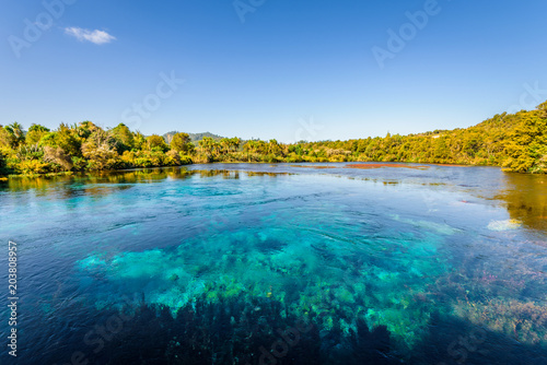 Te Waikoropupu Springs, Pupu Springs, Golden Bay, New Zealand: crystal clear water flows from subterranean underground spring wells to this central overflow blue lake with beautiful green landscape