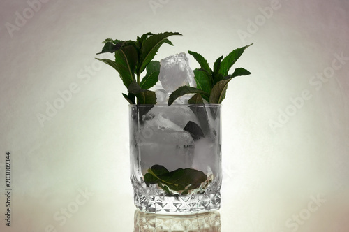 Sprigs of green mint leaves in a glass cup with chunks of crushed ice.