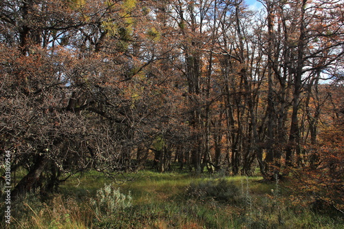 Otoño