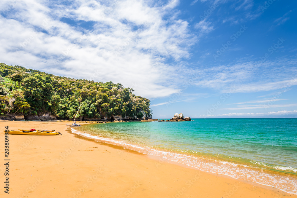 Fototapeta premium Abel Tasman National Park, New Zealand: Magical sandy beach with turquoise blue water on beautiful sunny summer day, enjoy breathtaking landscape by exploring the Splitt Apple ocean coast by kayaking
