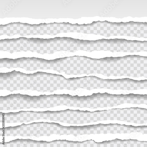 torn paper edges, seamless horizontally texture, vector isolated in space for advertising, banner of web page, border and header, print concept of illustration