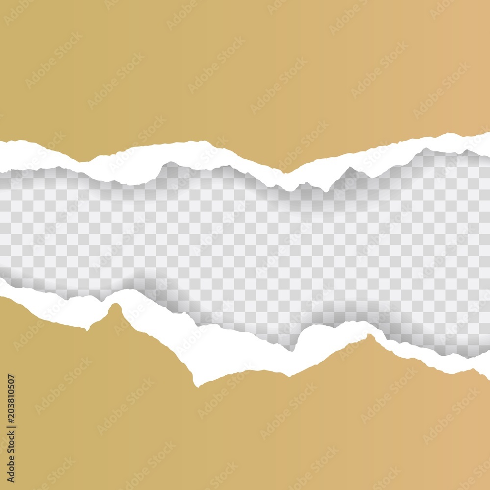 Torn paper background with space for text. Design illustration template vector for banner of web page, news feed, header label sheet. Card decoration element. Grunge texture of blank