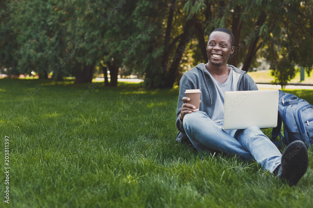 Fototapeta premium Smiling student sitting on grass using laptop