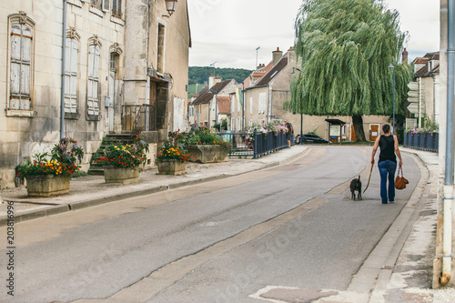Fototapeta Naklejka Na Ścianę i Meble -  Stone street of the ancient city of Chablis